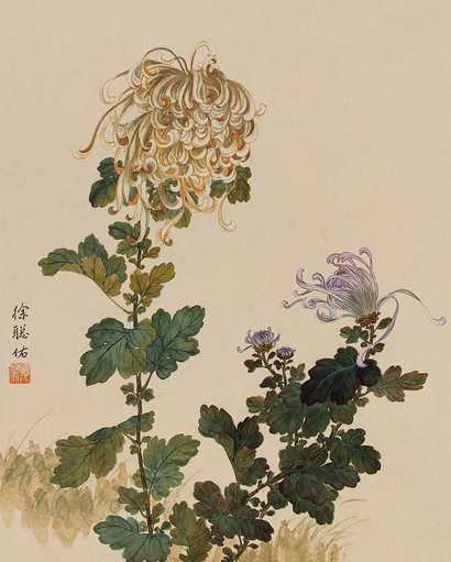 徐聪佑 菊花 镜心